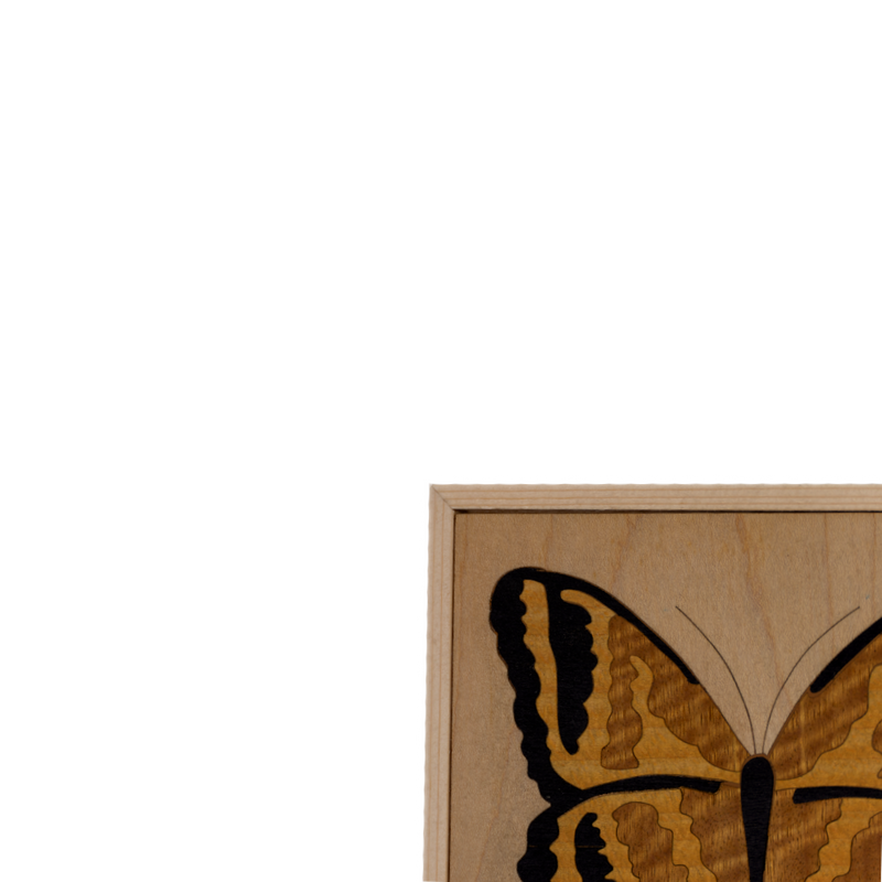 Composition of 4 Small Inlaid Squares with Butterfly (Fir / Iroko Background)