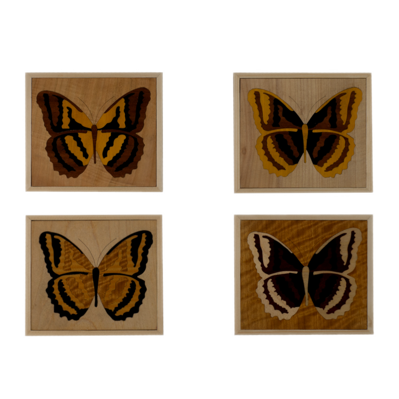 Composition of 4 Small Inlaid Squares with Butterfly (Fir / Iroko Background)