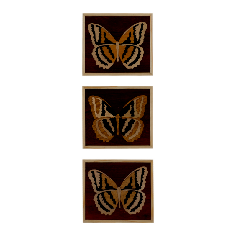 Composition of 3 Small Inlaid Squares with Butterfly - (Padouk)