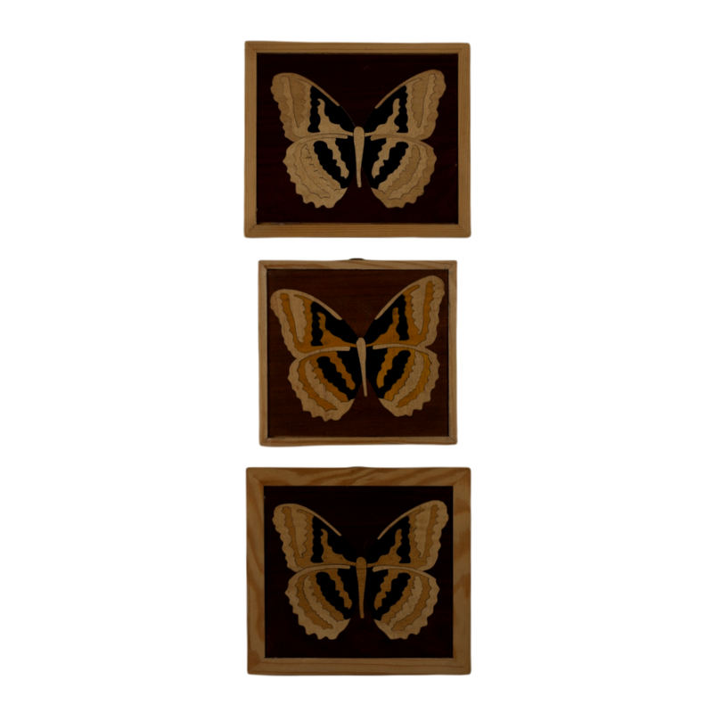 Composition of 3 Inlaid Squares with Butterfly - Medium Frame (Padouk)