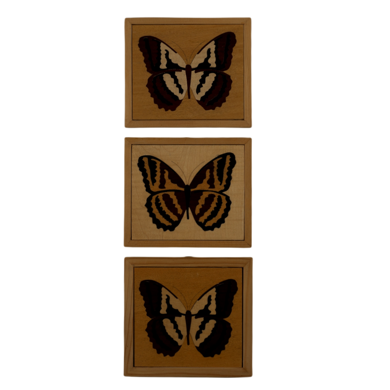 Composition of 3 Inlaid Squares with Butterfly - Medium Frame (Fir / Iroko)