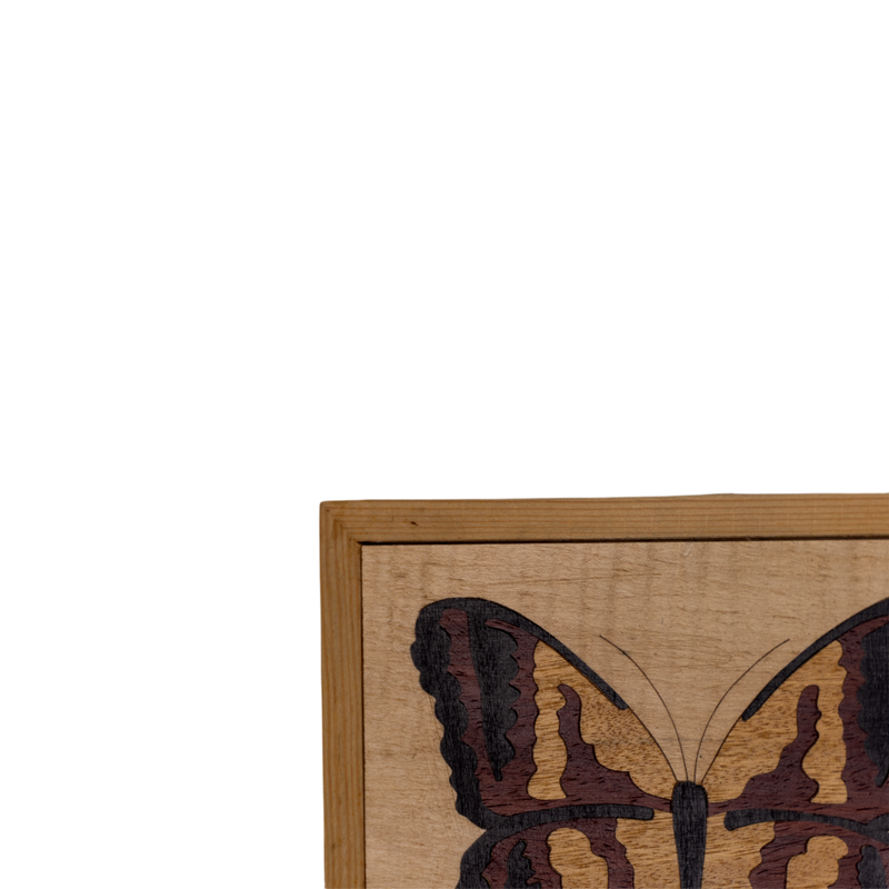 Composition of 5 Inlaid Squares with Butterfly - (Mahogany / Fir / Iroko)