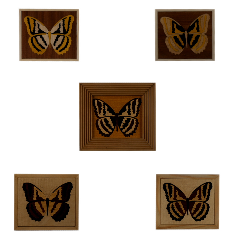 Composition of 5 Inlaid Squares with Butterfly - (Mahogany / Fir / Iroko)